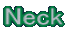 Neck